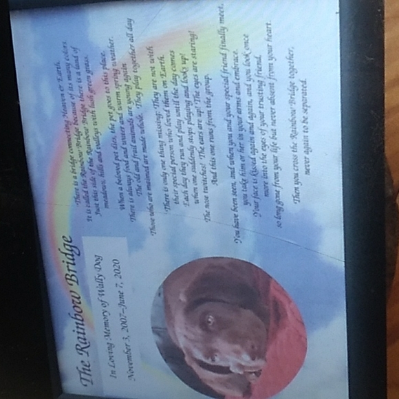 WEN Anti-frizz Styling Cream - Picture 9 of 16